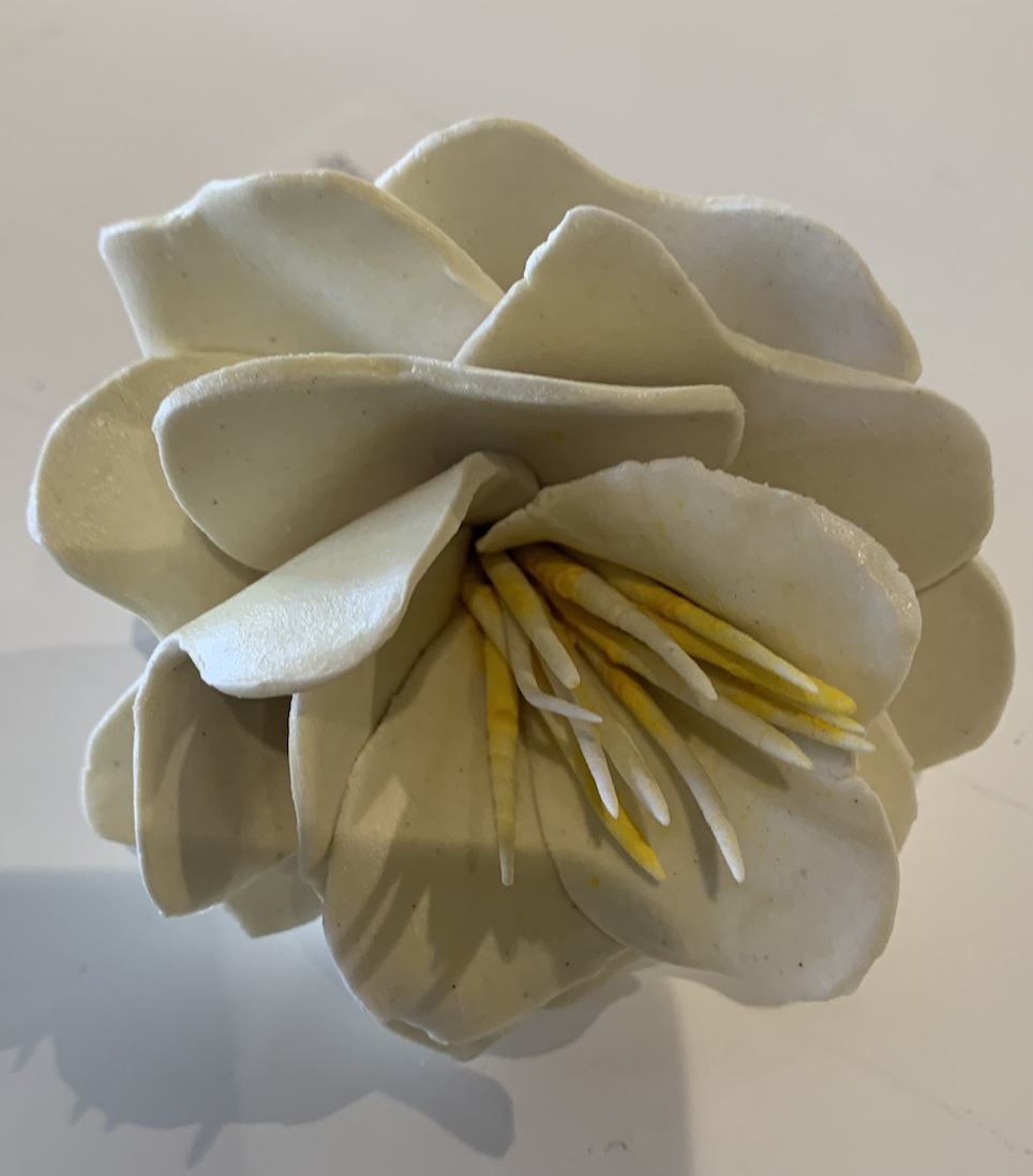 Jillian Porteous| Flower 4| McAtamney Gallery and Design Store | Geraldine NZ
